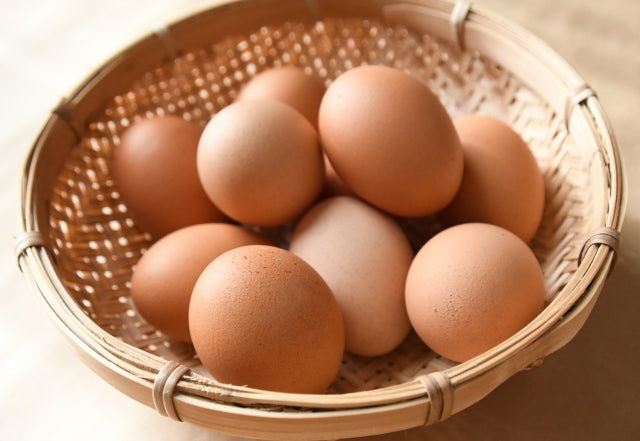 15　卵は、非のつけどころがない完全食である