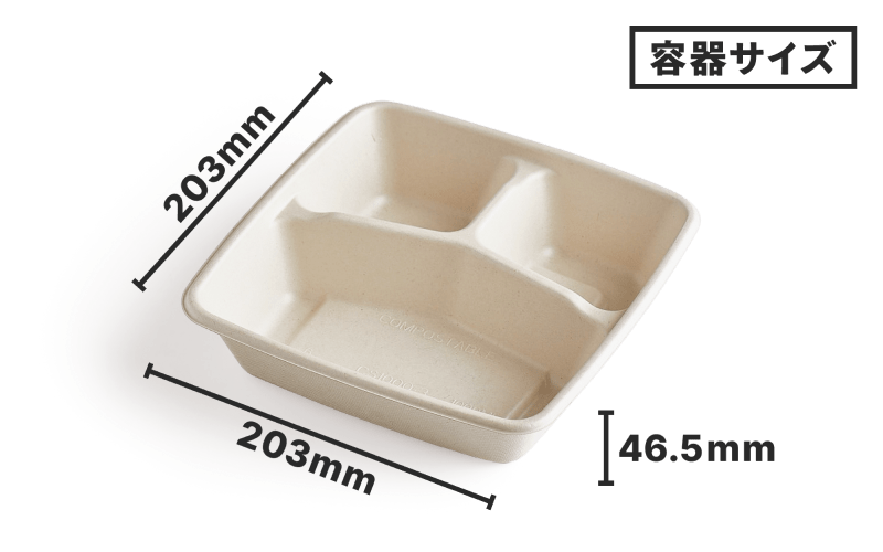 容器のサイズ 縦201mm 横248mm 高さ 48mm